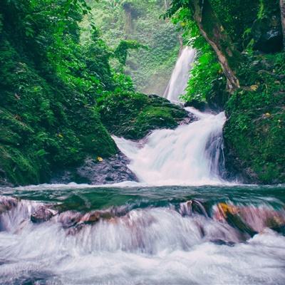 模拟人生分享版下载